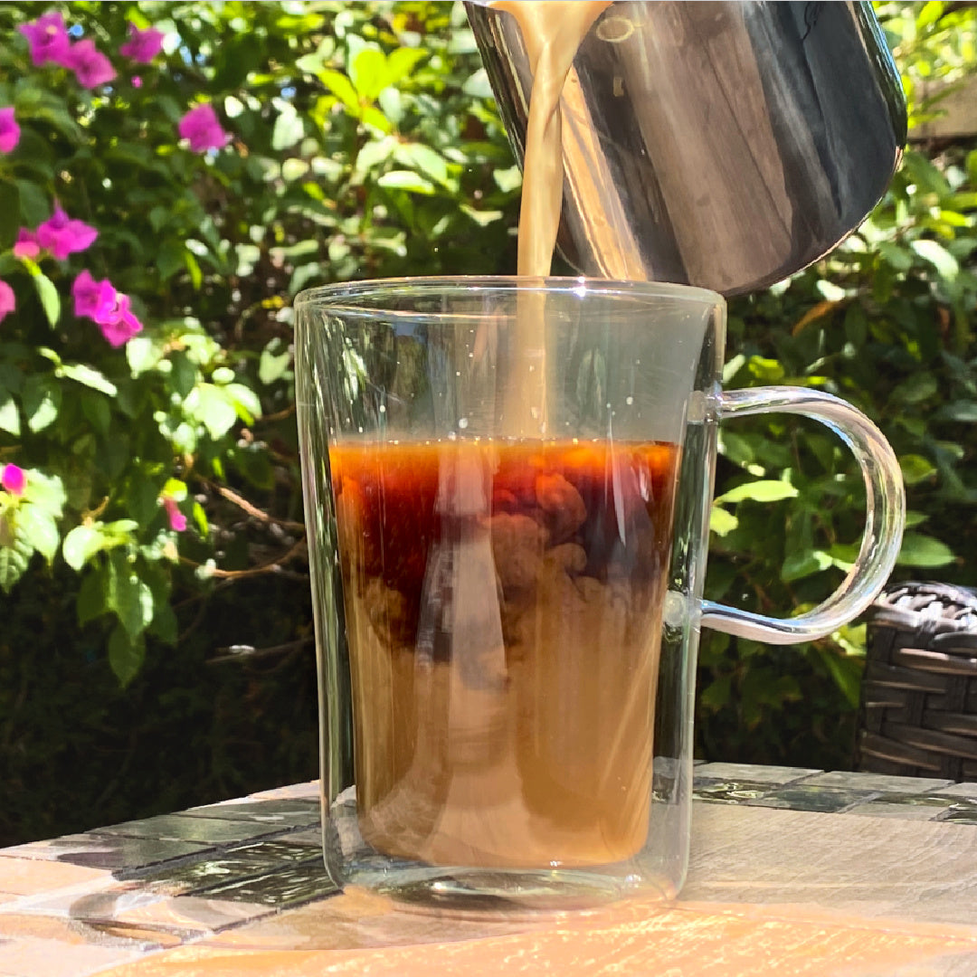Shroom Magic Mocha