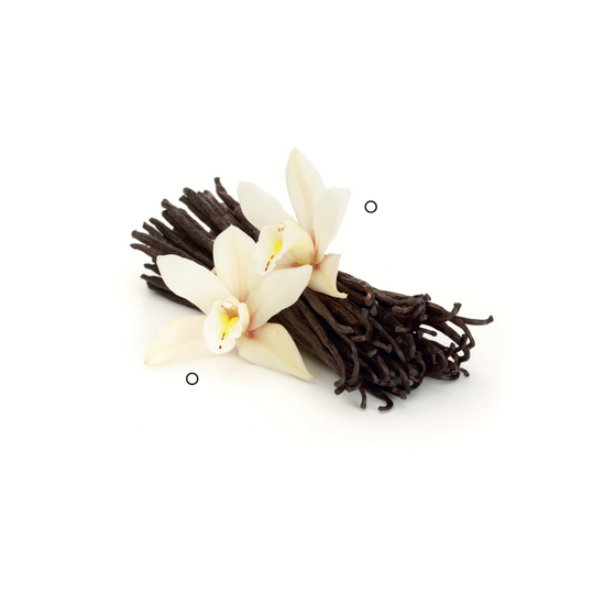 Vanilla
