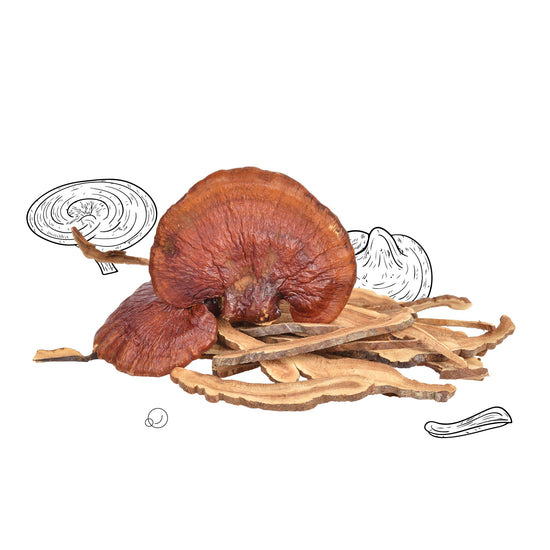 Reishi