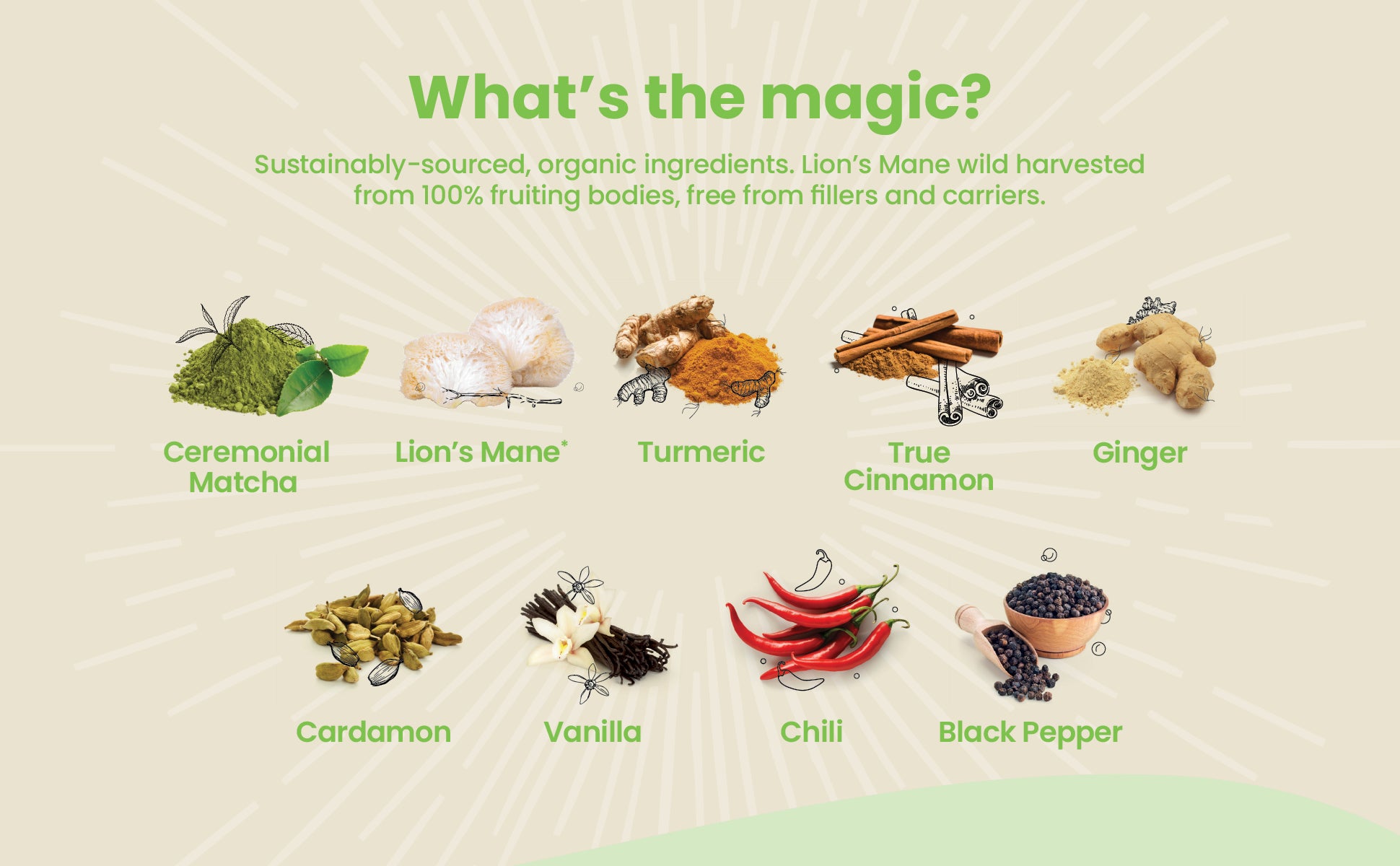 MATCHA + LION'S MANE – Natures Harvest