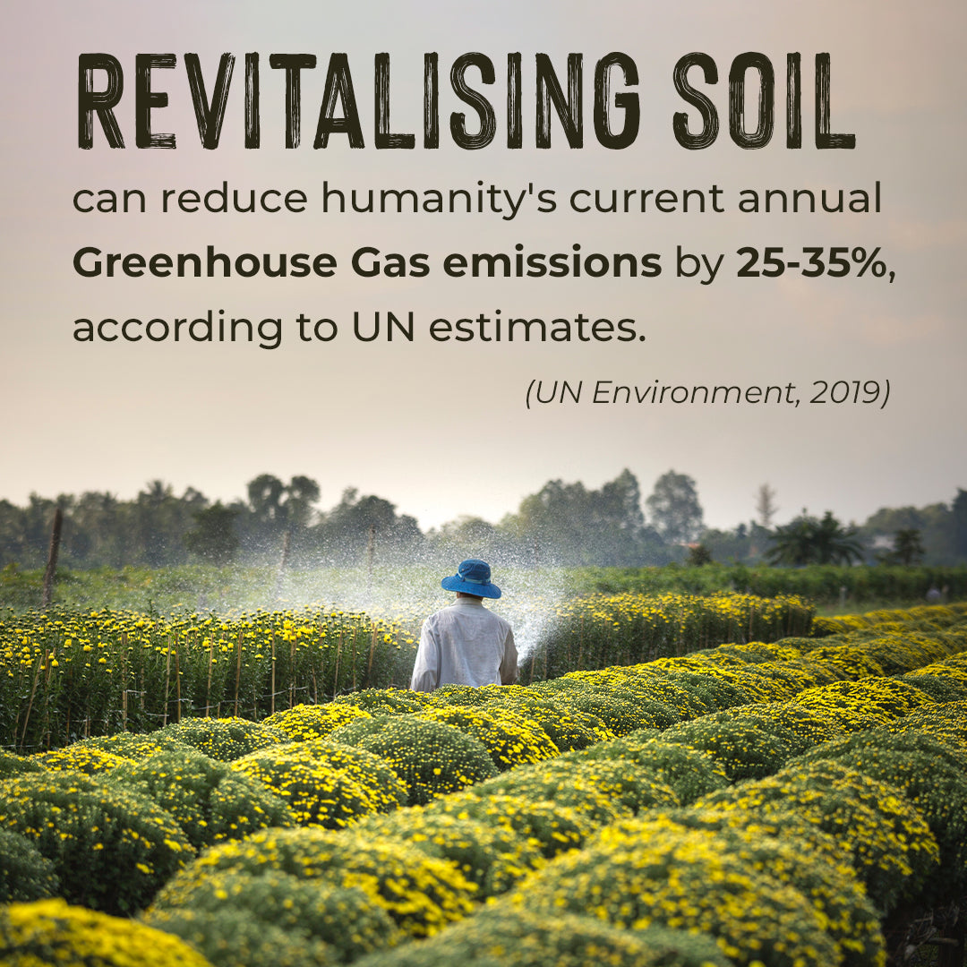 <p>We do our best to bring you the cleanest ingredients. What we leave behind should be better than when we started. It's not the goal that matters, it's who we all become in the pursuit of the goal. </p><p>Why are we supporting the Save Soil movement? 52% of agricultural soils are already degraded! Save Soil is a global movement launched by Sadhguru to address the soil crisis by bringing together people from around the world to stand up for Soil Health, and supporting leaders of all nations to institute national policies and actions toward increasing the organic content in cultivable soil. </p><p>.</p><p>A study in the US found that calcium levels in fresh vegetables dropped 27%, iron levels 37%, vitamin A levels 21%, vitamin C levels 30% from 1975-1997 due to soil depletion. (Scientific American, 2011) #SaveSoil www.savesoil.org</p><p></p>